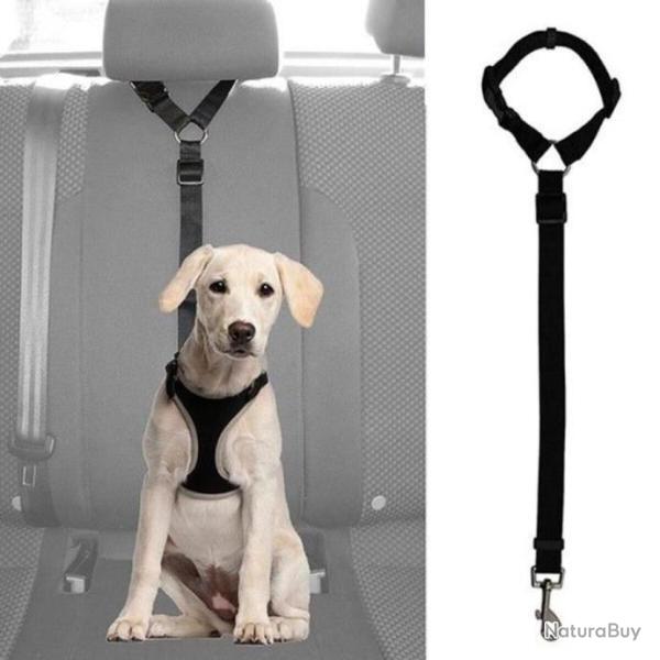 Ceinture de si�ge de s�curit� voiture pour chien Voyage Laisse Clip Sangle