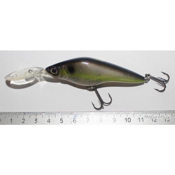 Poisson nageur Hardcore SH 75 SF (16)