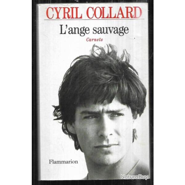 l'ange sauvage de cyril collard carnets