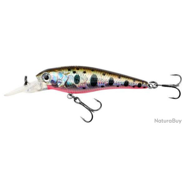 KICK BACK JERK 50 SP MR N1