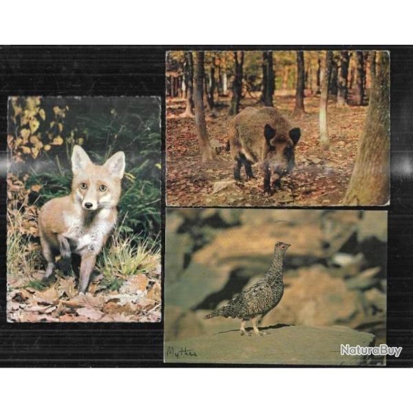 renard , sanglier, lagop�de alpin, 3 cpm