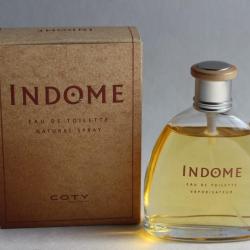 Flacon d'eau de toilette COTY Indome 100 ml homme