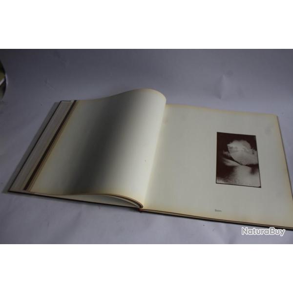 Rainer Brambach Vogt Patell ddicaces Das Gingkoblatt 1972 photographies