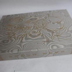 Emboîtage Venus in Furs illustré par DALI gris