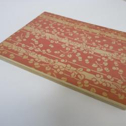 Album Princesses Imaginaires par Drésa 1919 dessins Jean Saudé