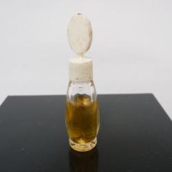 Miniature de parfum Symbole DANA