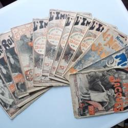 Ensemble revues FAYARD Alphonse DAUDET