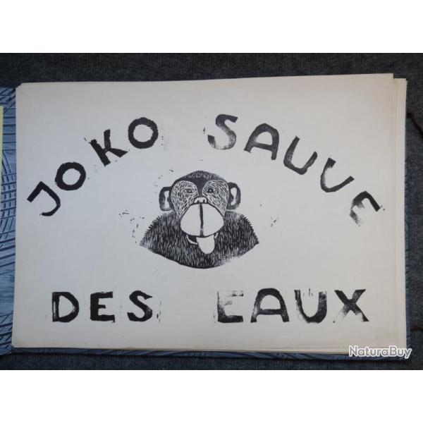 JOKO sauv des eaux grand portofolio illustr Bois Grav enfants