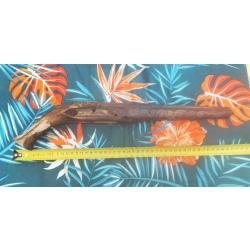 Pistolet &agrave; Silex avec sont canon  pour la restauration  n&deg; 22  (livraison par Happy post 11�)