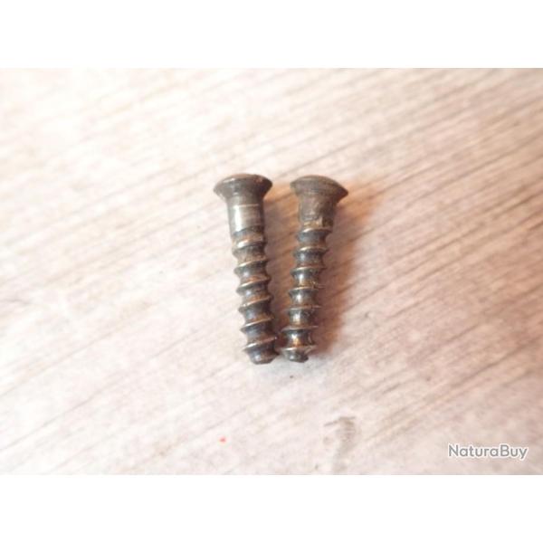 2 vis pour fusil Vetterli Suisse