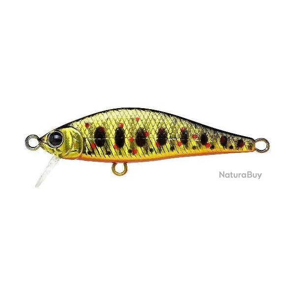 POINTER 50S 871-BGR Amago