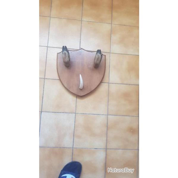 blason ecusson ratelier 1  fusil pattes chevreuil  et defense