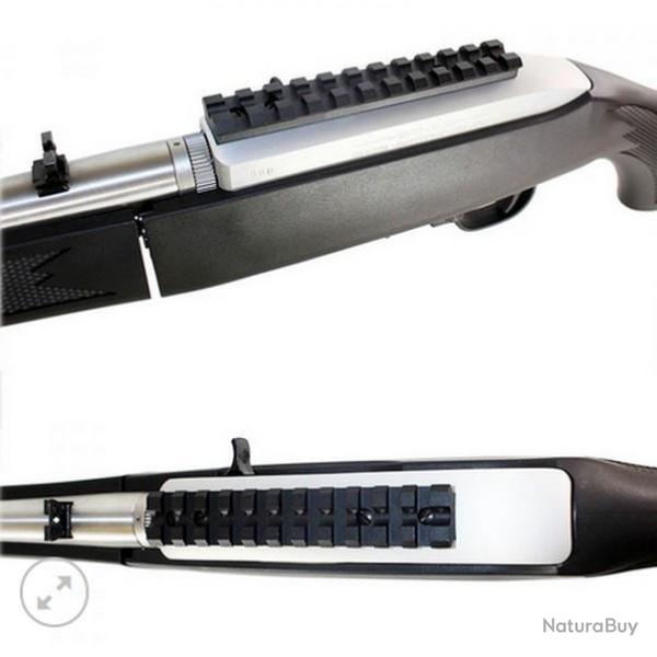 Rail Picatinny Ruger 10/22