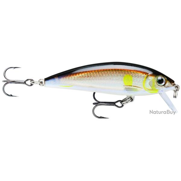 Leurre Rapala X-Rap Countdown 5cm AYU