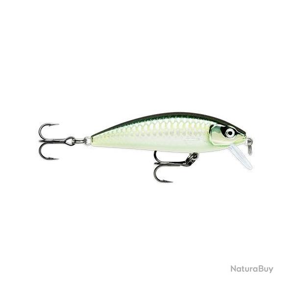 Leurre Rapala X-Rap Countdown 5cm BLK
