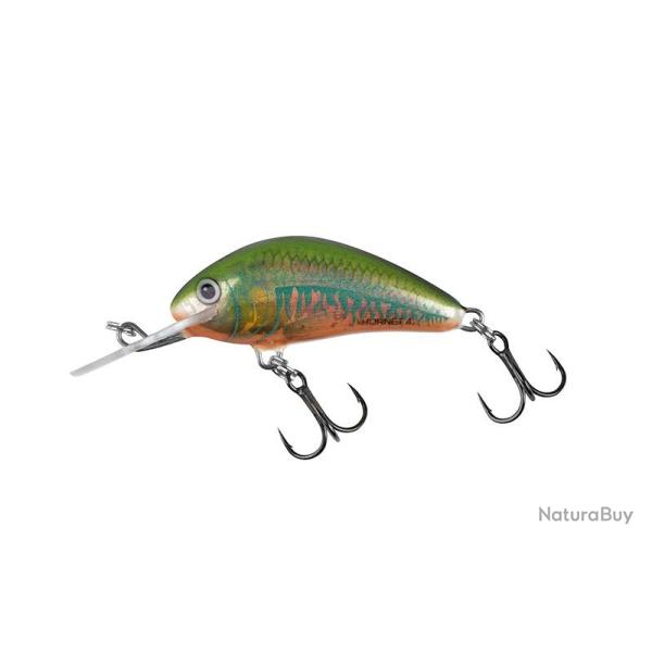 Poisson Nageur Salmo Hornet Floating H6F Holo Oikawa