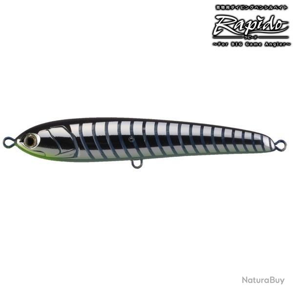 Poisson Nageur Maria Rapido 160 07D