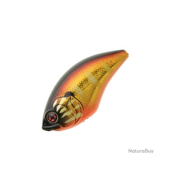 Poisson Nageur Sakura SCB 200 F 102 - Magma Gill