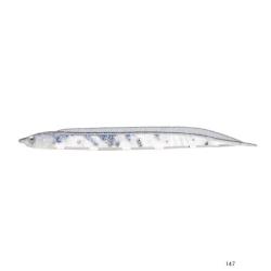 Leurre Souple Fish Arrow Flash J Shirasu SW 8cm 147