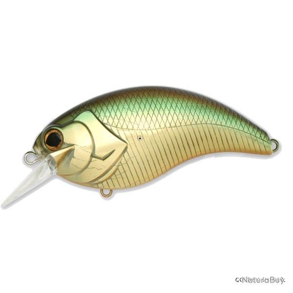 Poisson Nageur Deps Evoke 4.0 Golden Shiner