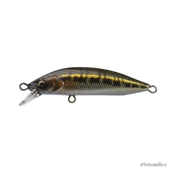 Poisson Nageur Babyface M60SR S 11 - Vairon