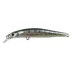 Poisson Nageur Jackson Artist FR80 VAIRON