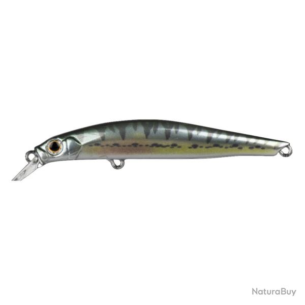 Poisson Nageur Jackson Artist FR80 VAIRON