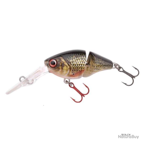 Poisson Nageur Spro Ikiru Double Crank 35F Roach
