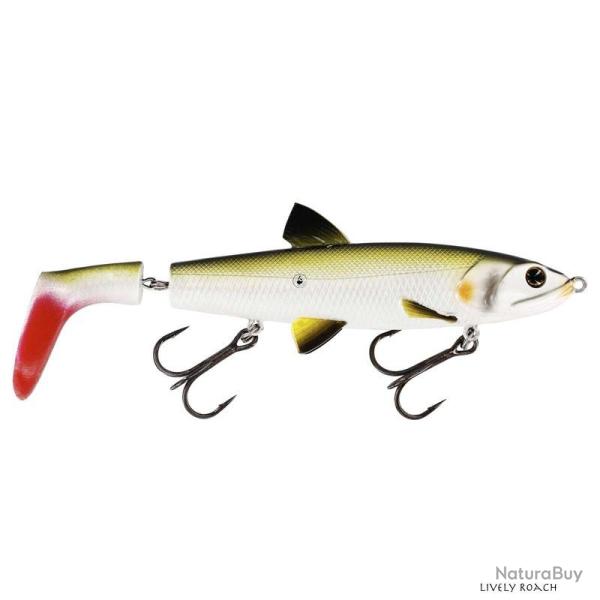 Poisson Nageur Westin Hypotwist Propbait Lively Roach 11,5cm