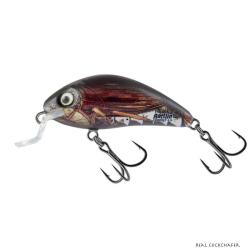 Poisson Nageur Salmo Rattlin Hornet Shallow 3,5cm RCC - Real Cockchafer