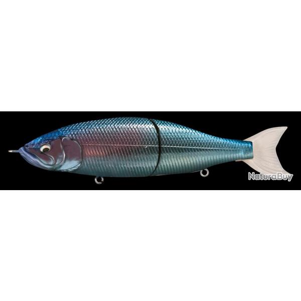Poisson Nageur Babyface BB180 MSS 03 - Blue Back Silver