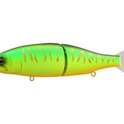 Poisson Nageur Babyface BB180 MSS 02 - Hot Tiger