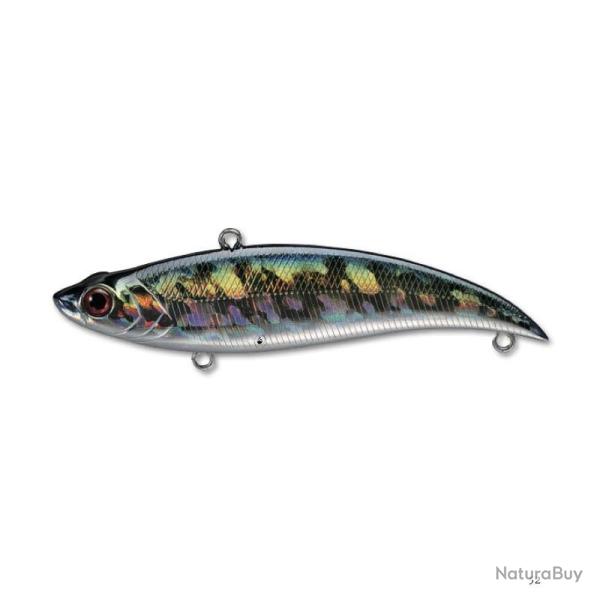 Poisson Nageur Smith Bay Blue 90 52