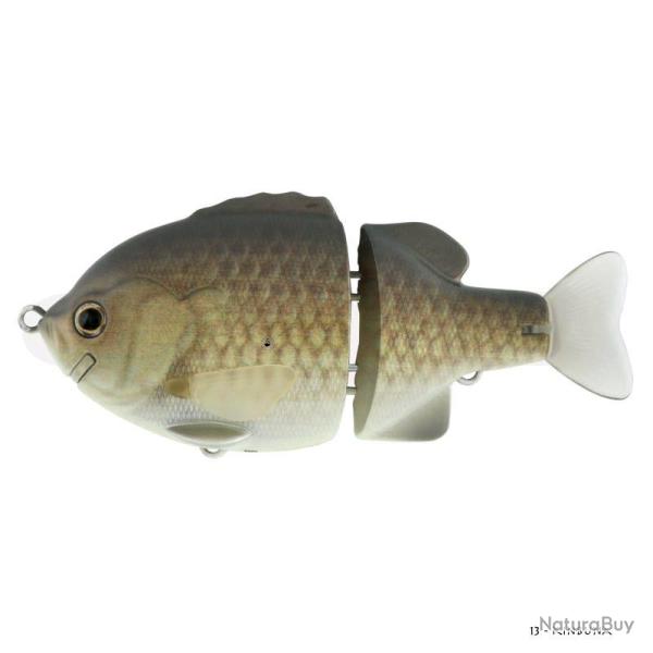 Poisson Nageur Deps Tiny Shooter 100 Kinbuna