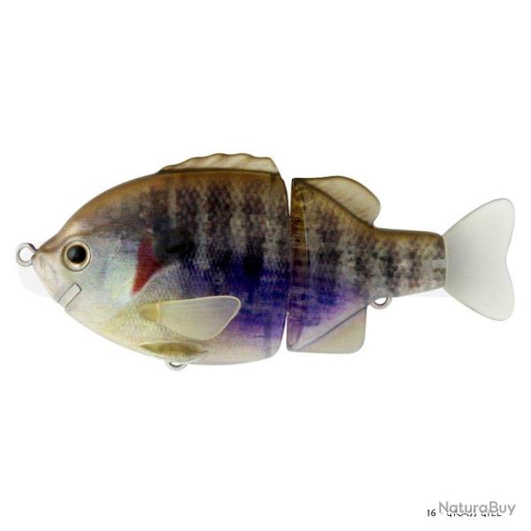 Poisson Nageur Deps Tiny Shooter 100 Grass Gill
