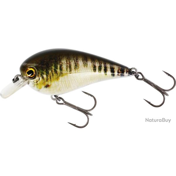Poisson Nageur Westin Bassbite Squarebill 7cm Real Minnow