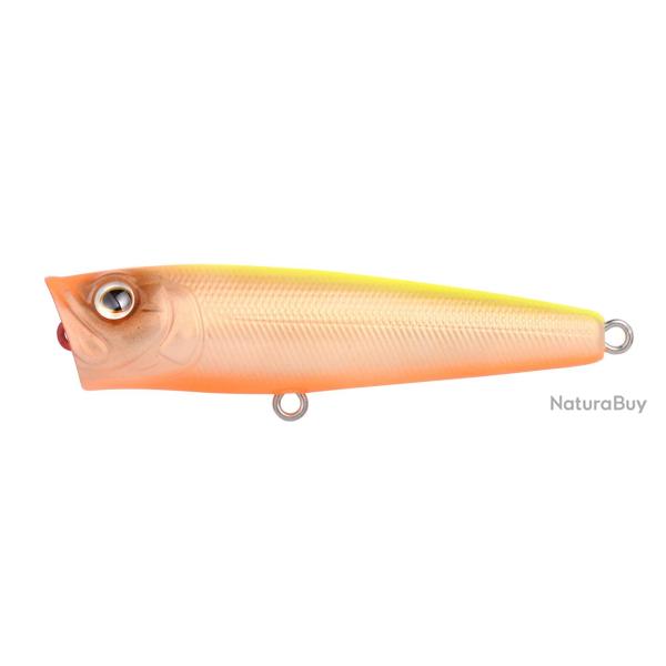 Poisson Nageur Spro Ikiru Pop 65 FL N Chart Back