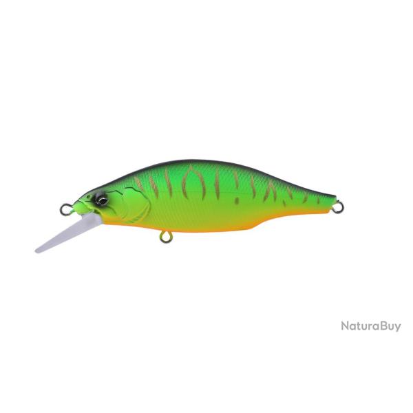 Poisson Nageur Babyface SD110-SF 02 - Hot Tiger