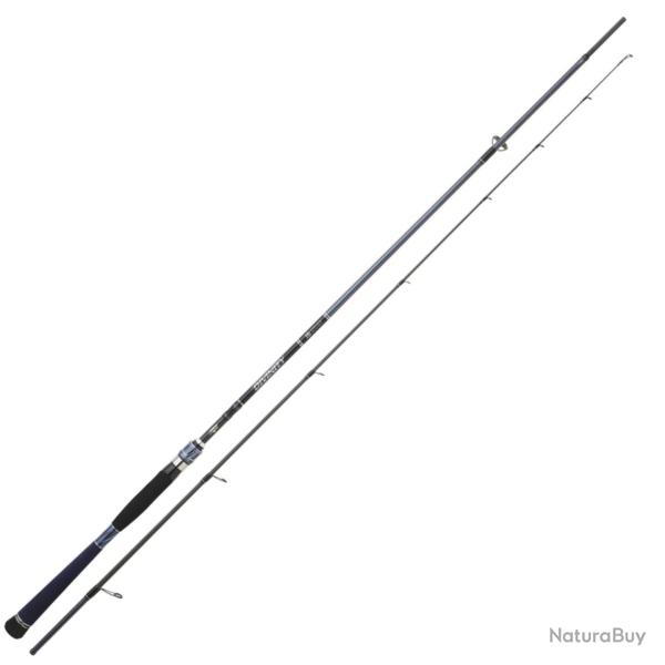 Canne Spinning Hearty Rise Divinity 12 20-80g