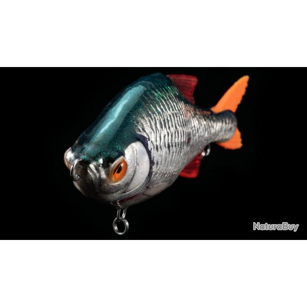 Poisson Nageur Lucky Lures Lucky Roach