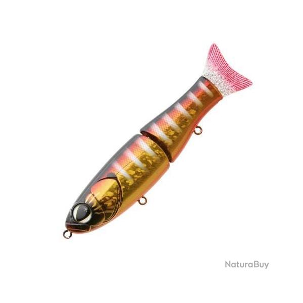 Poisson nageur Sakura S Shiner 190S 102 - Magma Gill