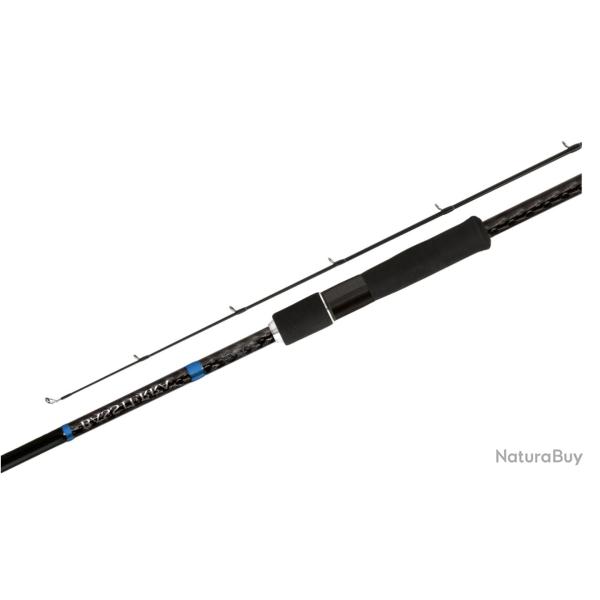 Canne Spinning Shimano Bassterra Sea Bass 160g 2 8 139cm 2m74 12-38g