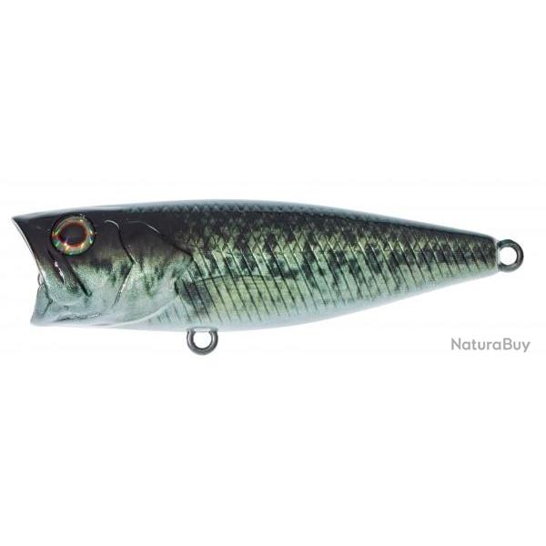 Poisson Nageur Illex SK Pop 5,3cm RT Biwako Bass 5,3cm 6,5g