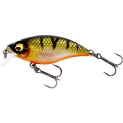 Poisson Nageur Westin Buzzbite SR 5cm Bling Perch 6cm 6g