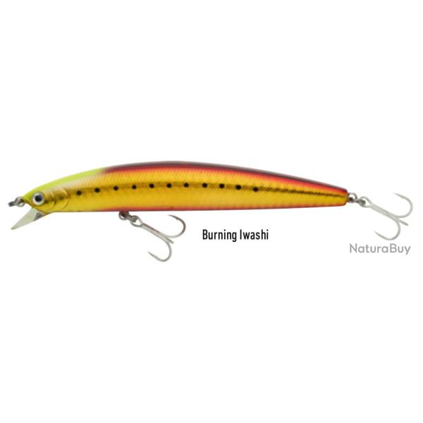 Poisson Nageur Daiwa D'Minnow Floating 13cm Burning Iwashi 13cm 23g