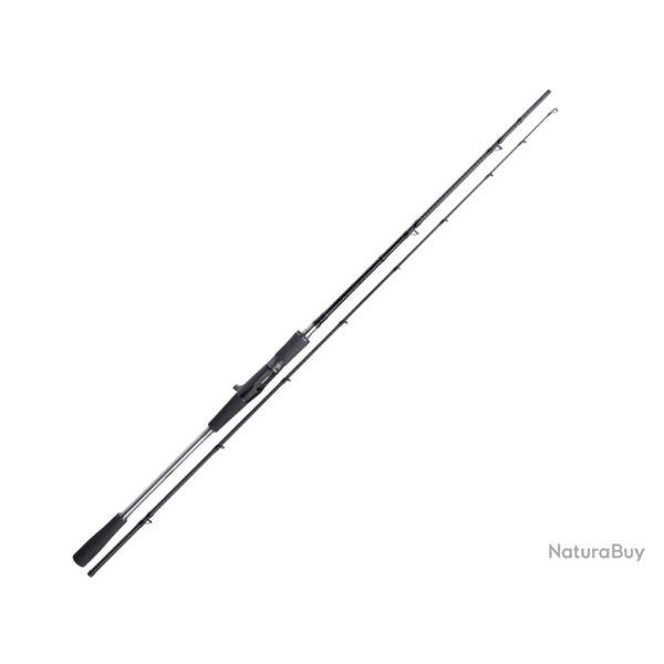 Canne Casting Shimano Yasei AX Pike 2m50 2 40 - 120g