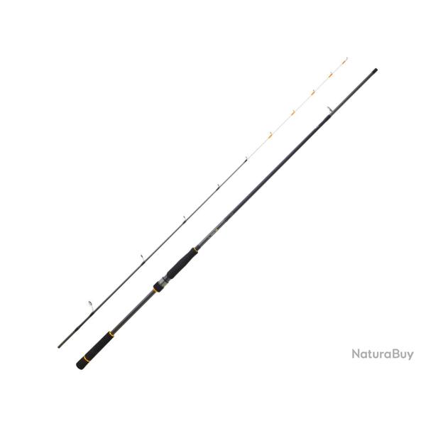 Canne Spinning Daiwa BG Tenya Game 2m40 2 133g 10 - 42g