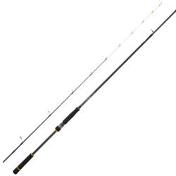 Canne Spinning Daiwa BG Tenya Game 135g 2m40 2 15 - 80g