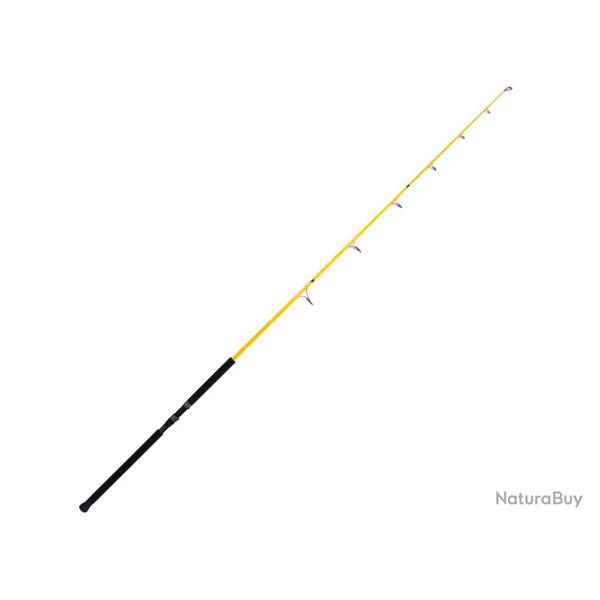 Canne Spinning Illex Element Rider S 2404 XH GT Expedition 2m40 4 497g 80 - 250g