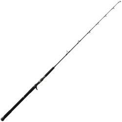 Canne Casting NS Black Hole Boca Jigging 1m60 1 254g 150 - 300g / max 350g